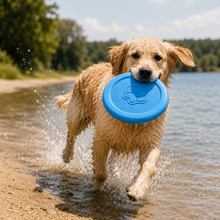 Aqua Glide Disc
