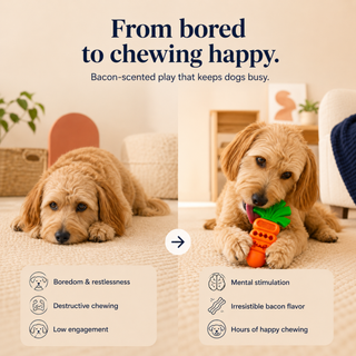 Bacon Carrot Chew