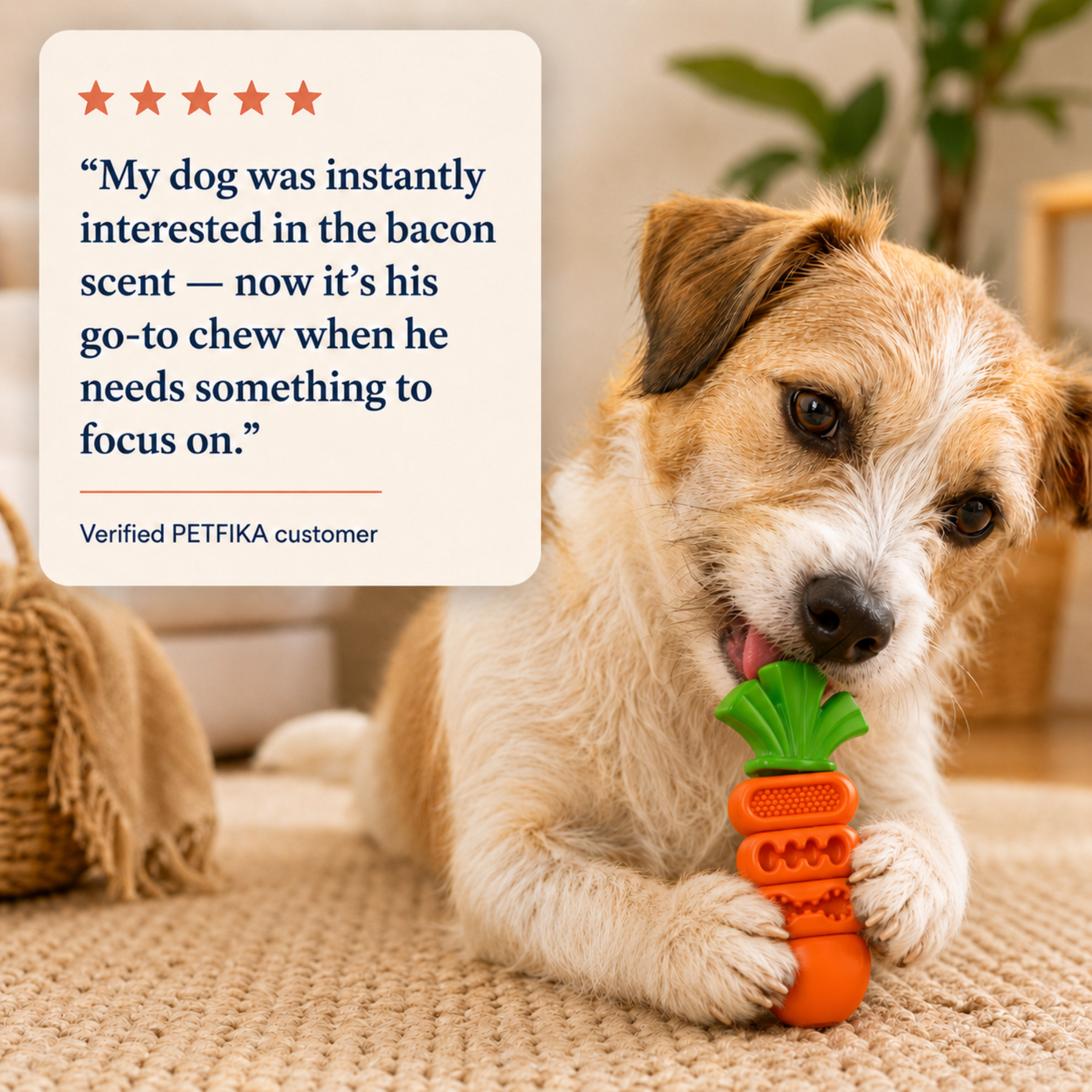 Bacon Carrot Chew