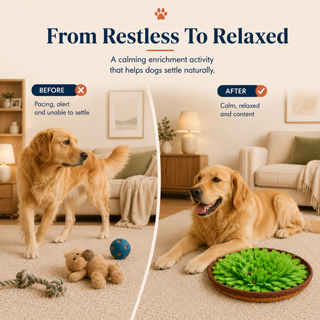 Forest Snuffle Mat