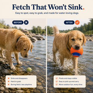 Fetch Float Ball