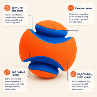 Fetch Float Ball