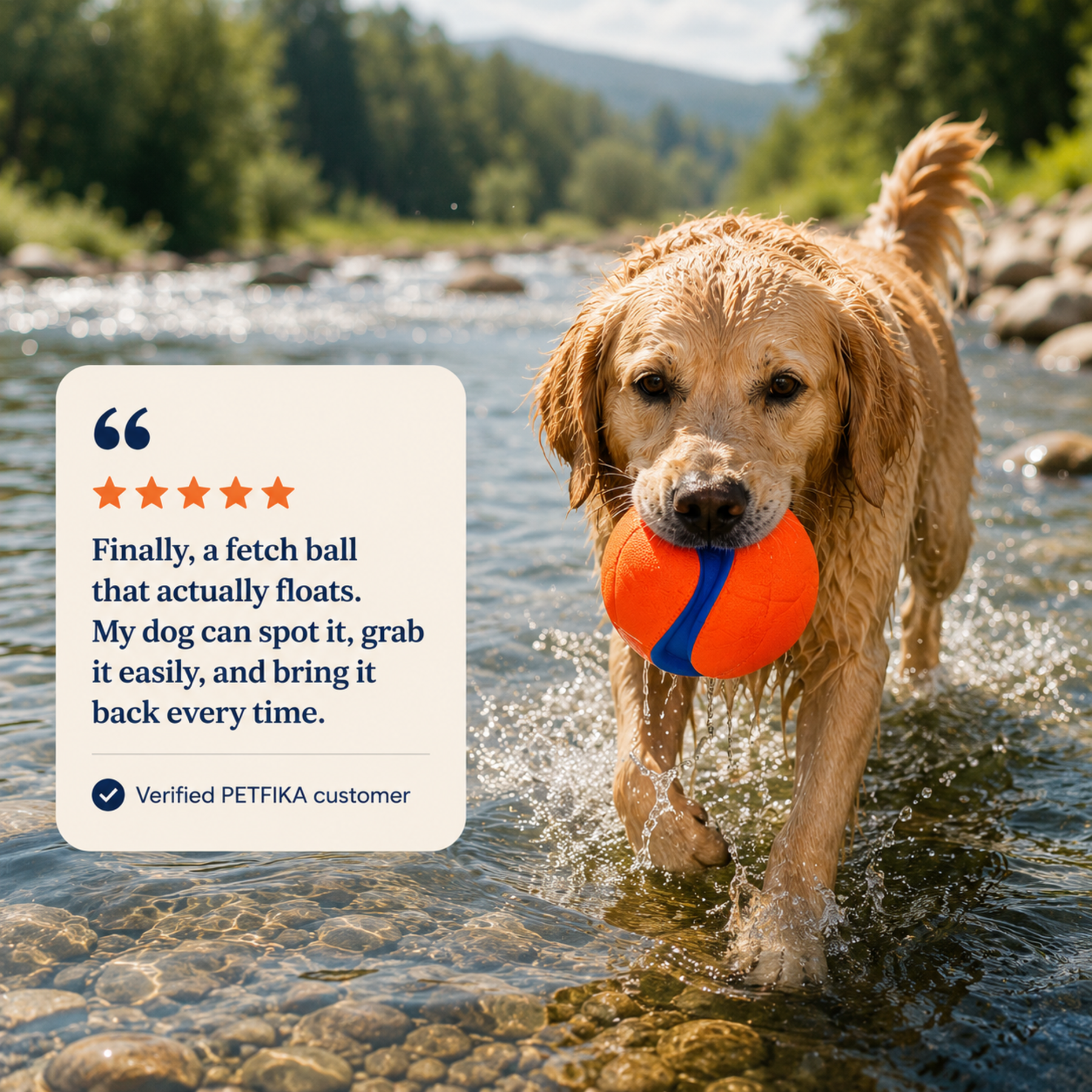 Fetch Float Ball