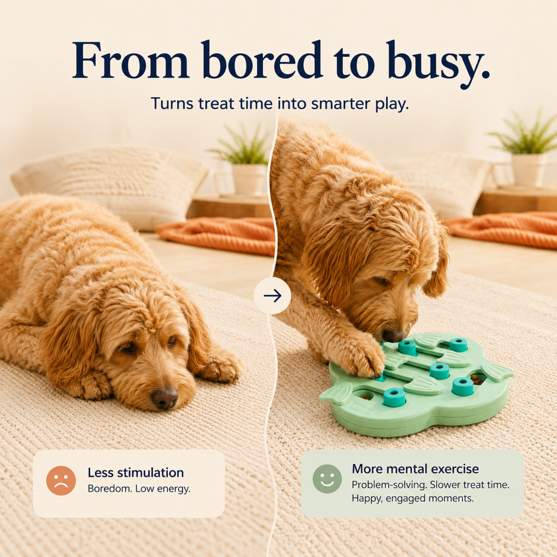 Hide & Slide Puzzle