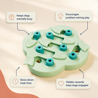 Hide & Slide Puzzle