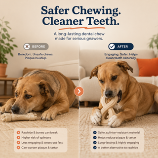 Infinity Dental Chew