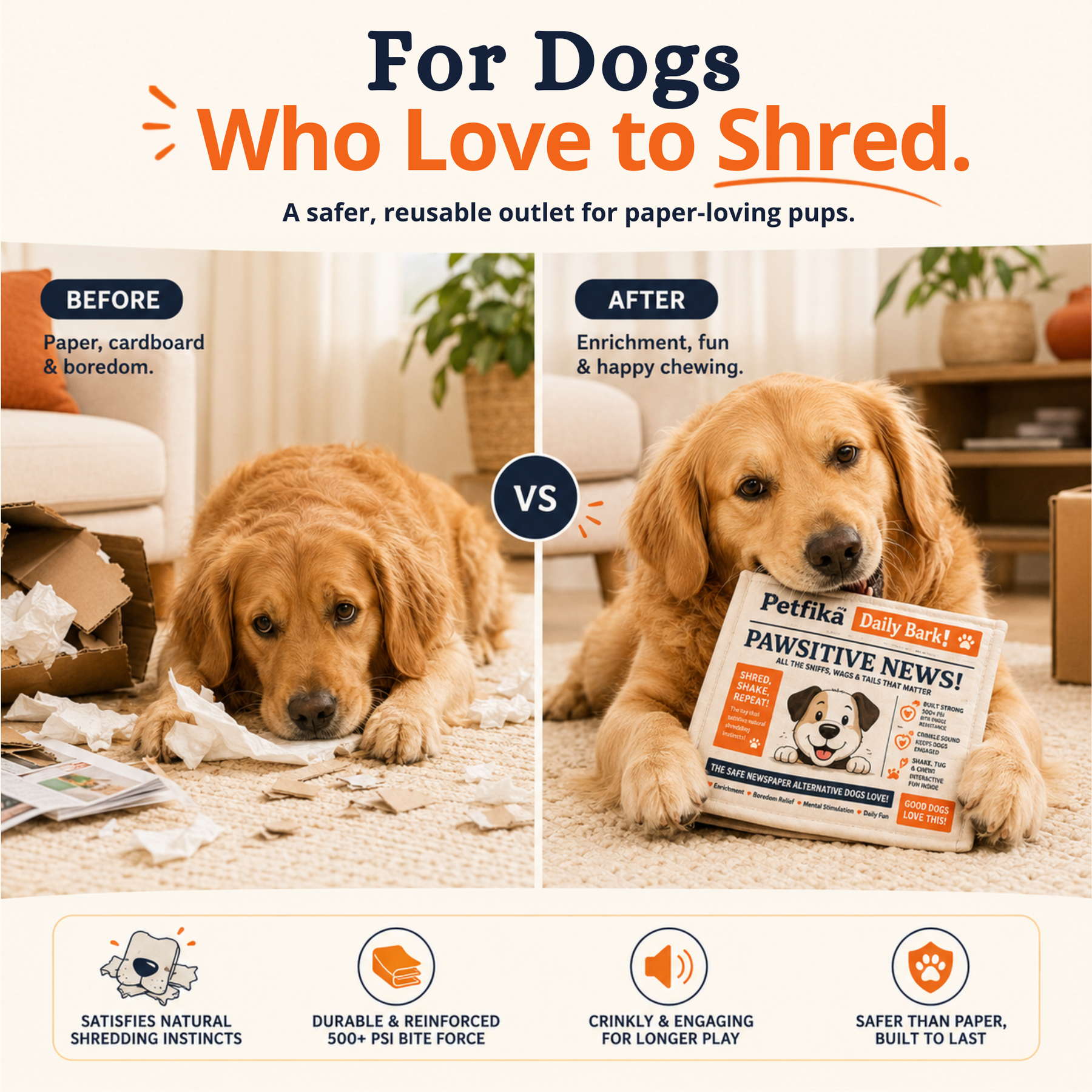 Shred & Shake Newspaper