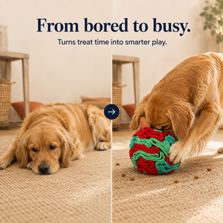 Snuffle Treat Ball