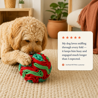 Snuffle Treat Ball