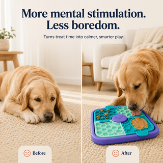 Spin & Lick Puzzle Mat