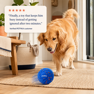 Zoomie Ball™